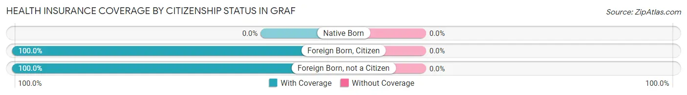 Health Insurance Coverage by Citizenship Status in Graf