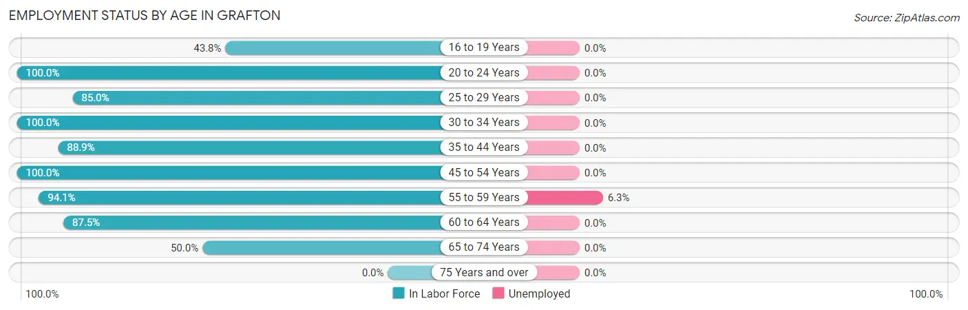 Employment Status by Age in Grafton