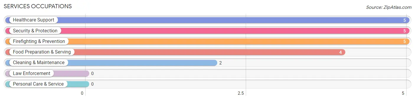 Services Occupations in Grafton