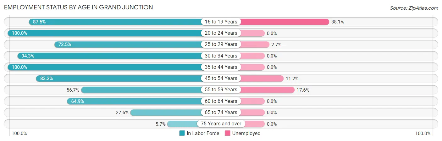 Employment Status by Age in Grand Junction