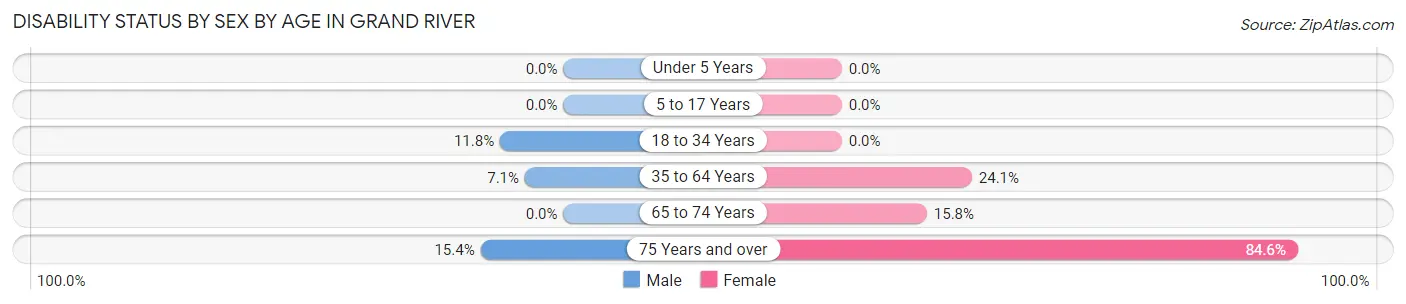 Disability Status by Sex by Age in Grand River