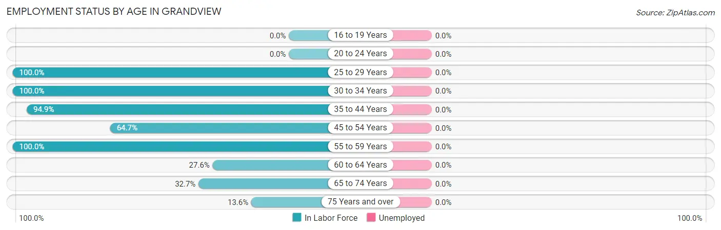 Employment Status by Age in Grandview