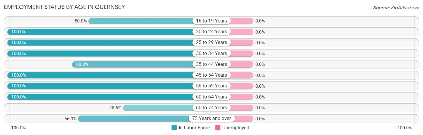 Employment Status by Age in Guernsey