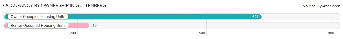 Occupancy by Ownership in Guttenberg