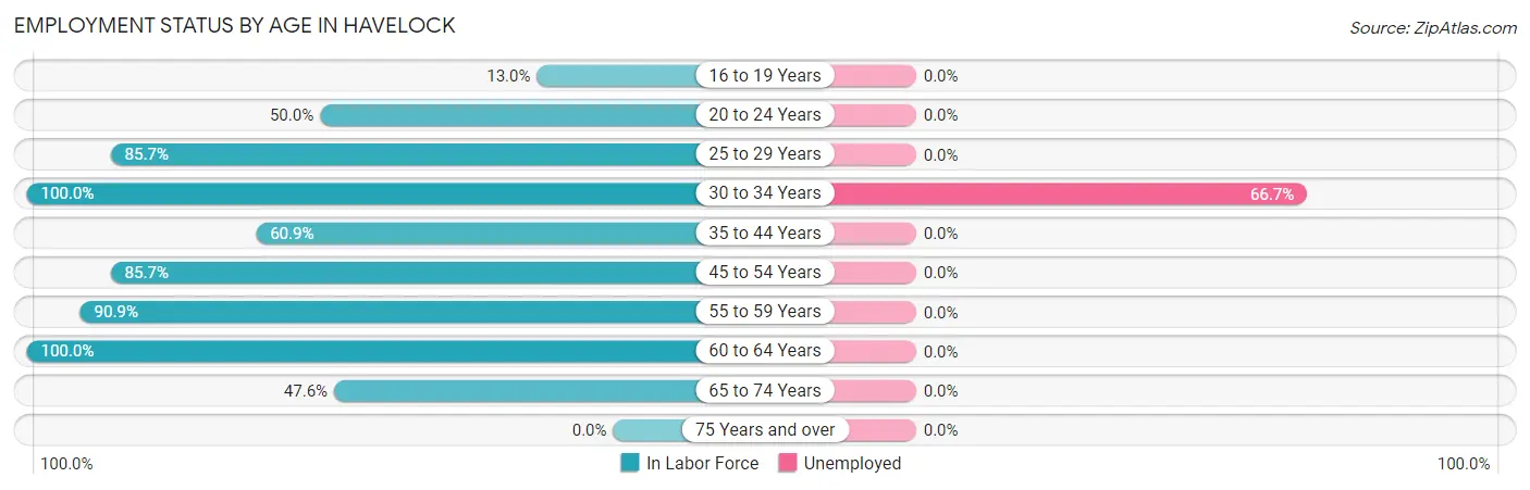 Employment Status by Age in Havelock