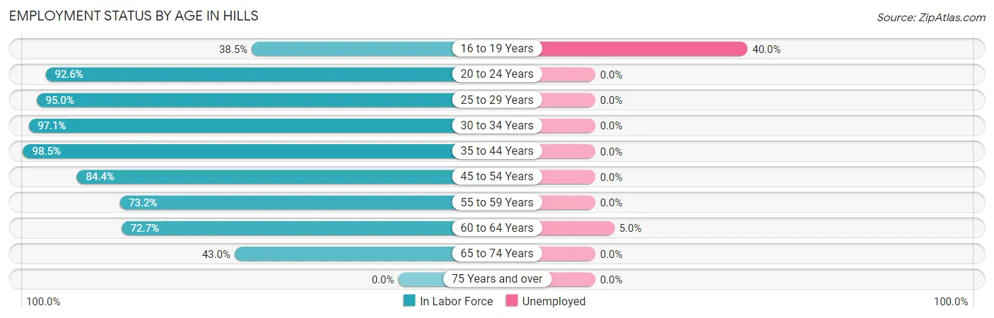 Employment Status by Age in Hills