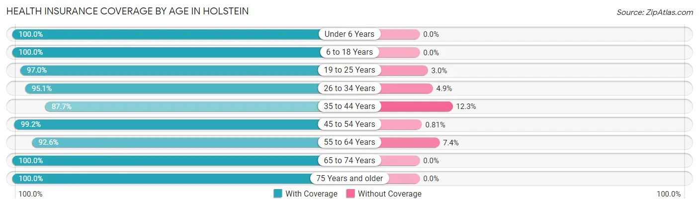 Health Insurance Coverage by Age in Holstein