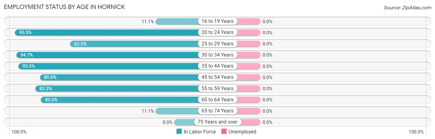 Employment Status by Age in Hornick