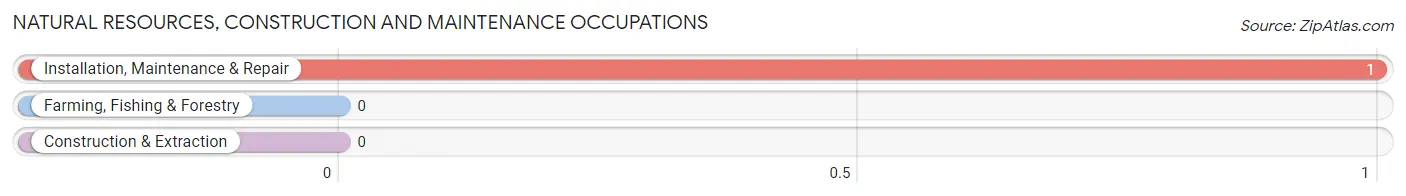 Natural Resources, Construction and Maintenance Occupations in Houghton