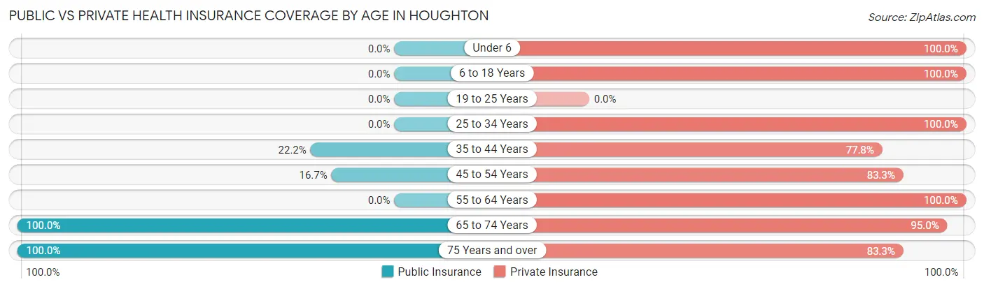 Public vs Private Health Insurance Coverage by Age in Houghton