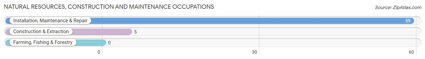 Natural Resources, Construction and Maintenance Occupations in Hudson