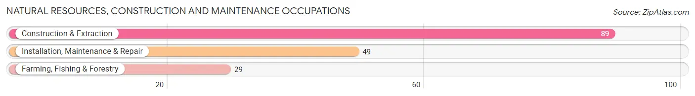 Natural Resources, Construction and Maintenance Occupations in Ida Grove