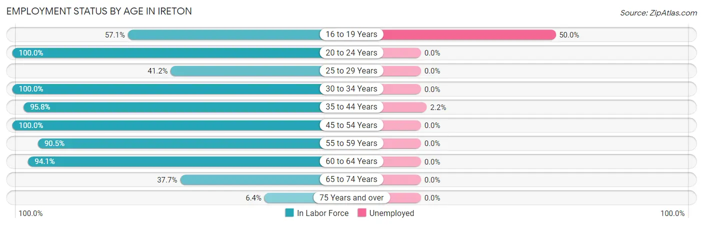 Employment Status by Age in Ireton