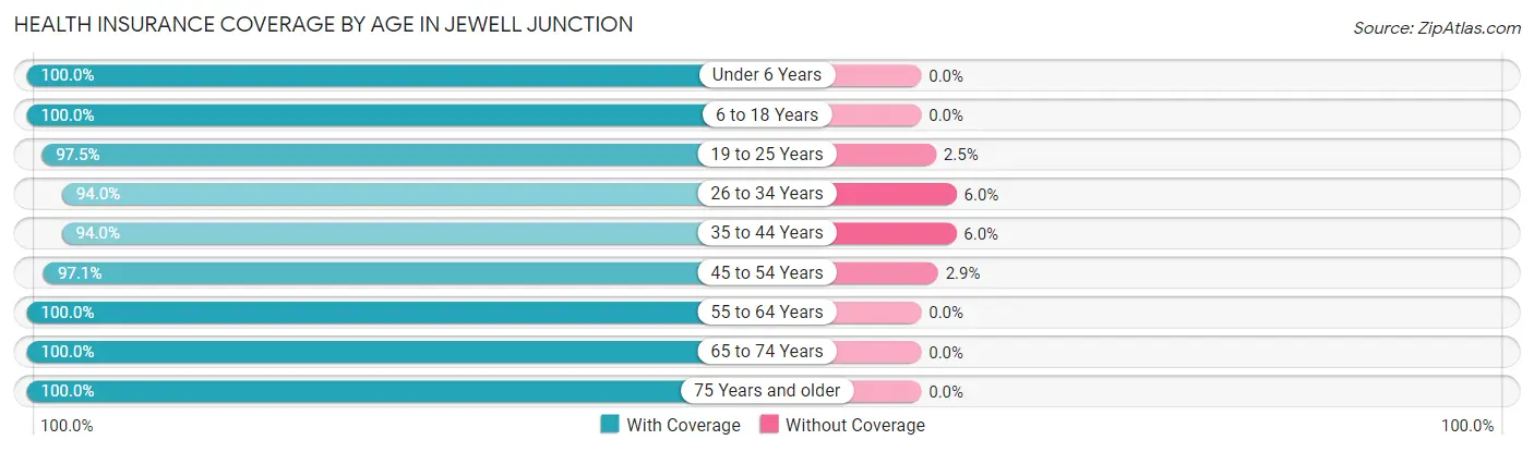 Health Insurance Coverage by Age in Jewell Junction