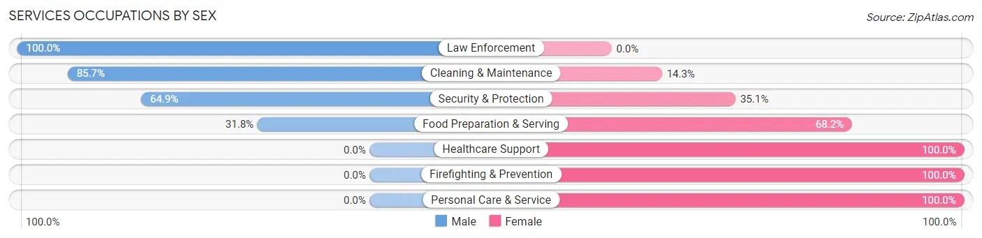 Services Occupations by Sex in Jewell Junction