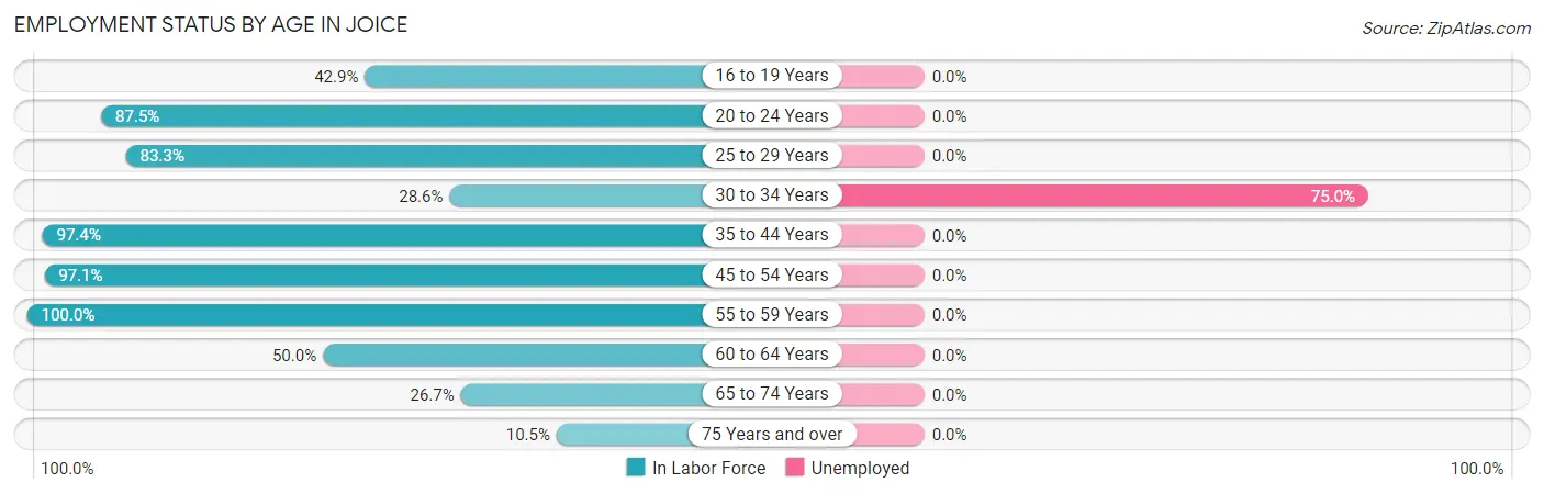 Employment Status by Age in Joice