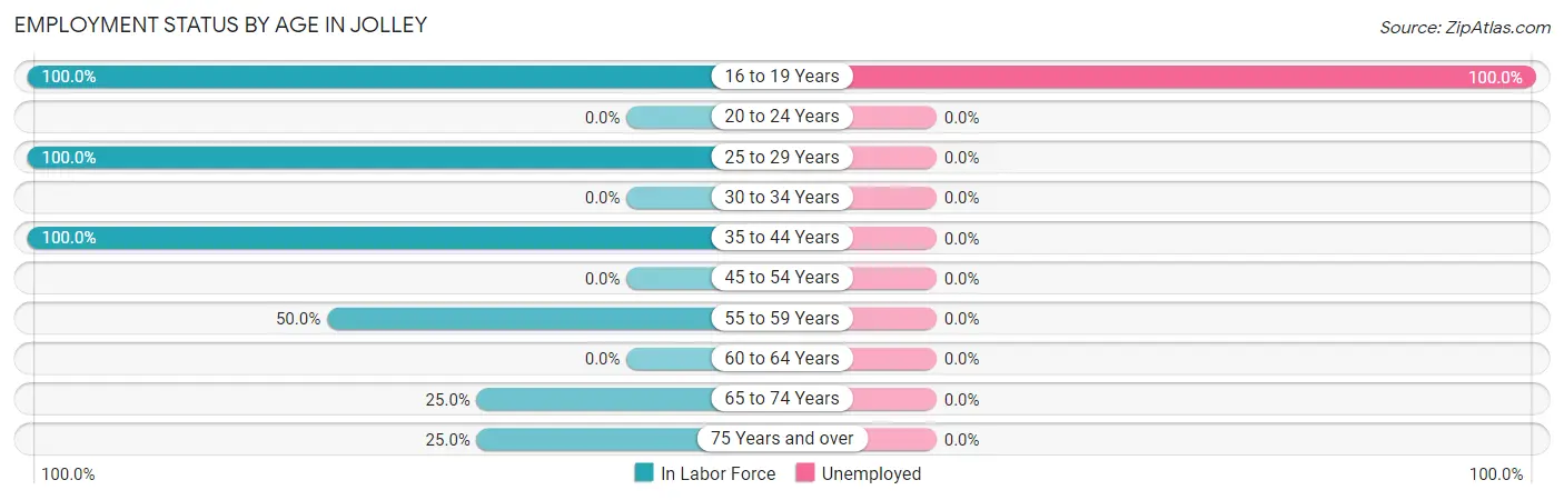 Employment Status by Age in Jolley
