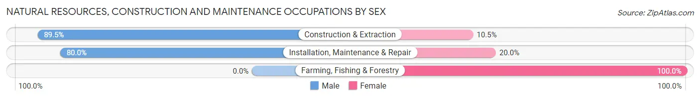 Natural Resources, Construction and Maintenance Occupations by Sex in Kelley