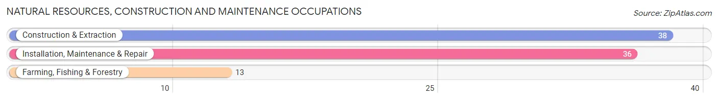 Natural Resources, Construction and Maintenance Occupations in Keota