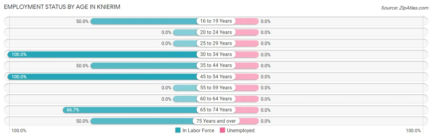 Employment Status by Age in Knierim