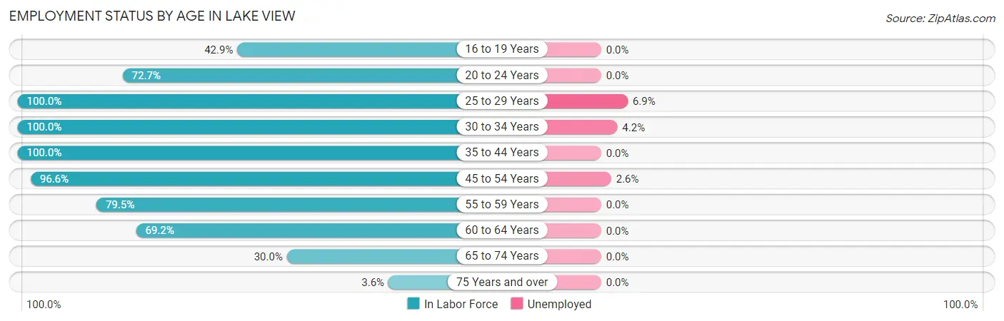 Employment Status by Age in Lake View