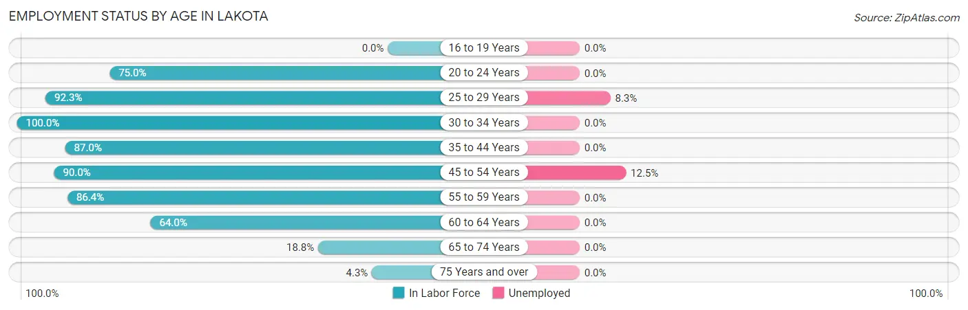 Employment Status by Age in Lakota