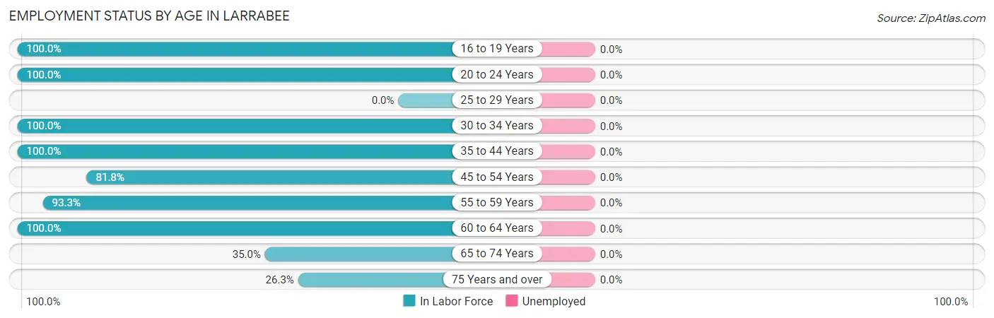 Employment Status by Age in Larrabee
