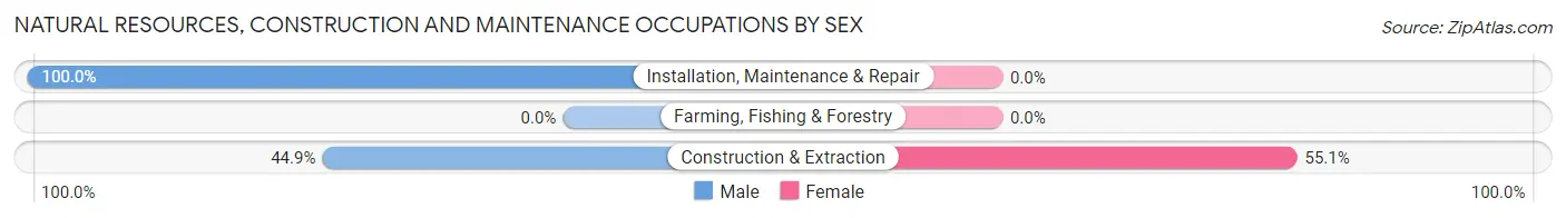 Natural Resources, Construction and Maintenance Occupations by Sex in Le Claire