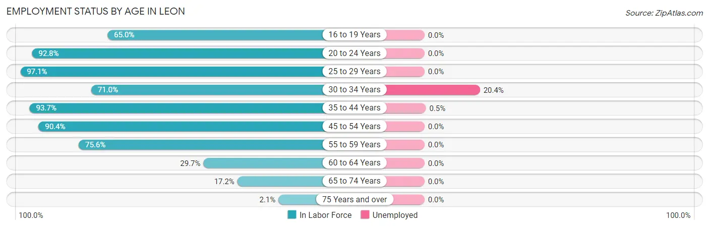 Employment Status by Age in Leon