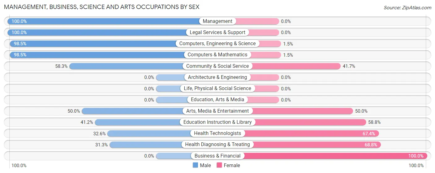 Management, Business, Science and Arts Occupations by Sex in Leon