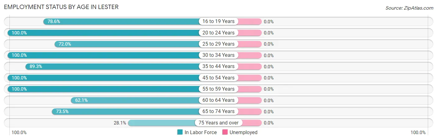 Employment Status by Age in Lester
