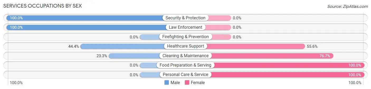Services Occupations by Sex in Lester