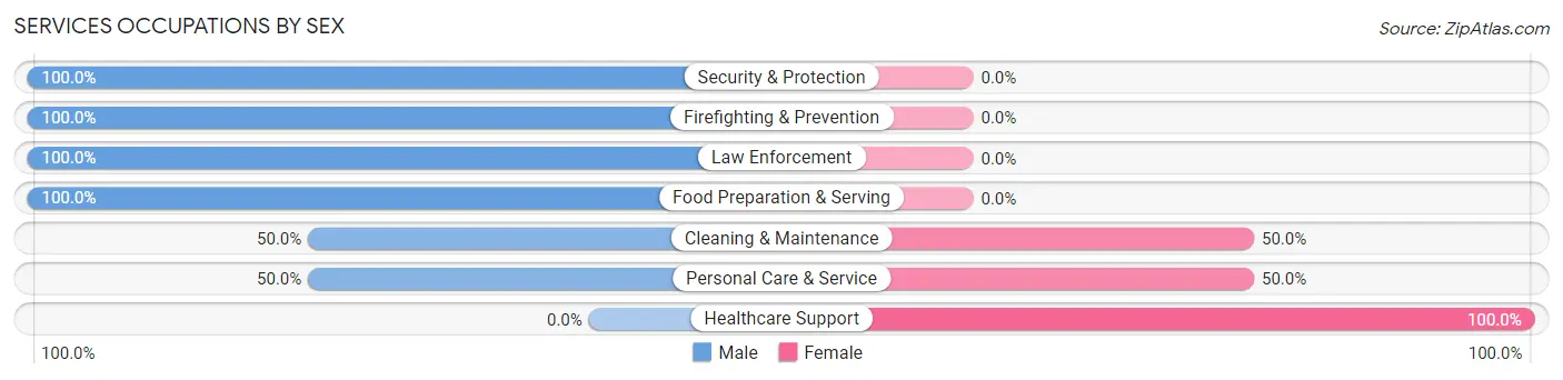 Services Occupations by Sex in Letts