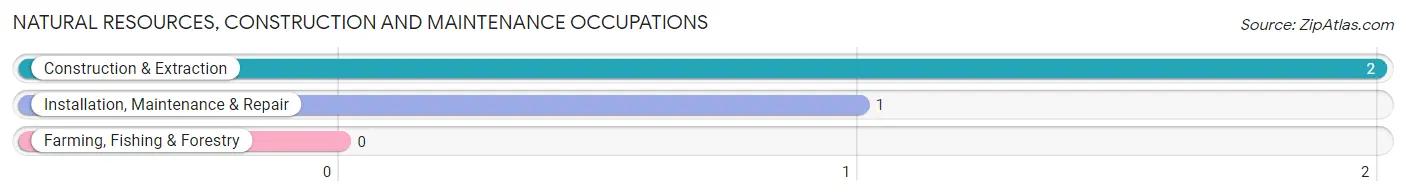 Natural Resources, Construction and Maintenance Occupations in Liscomb