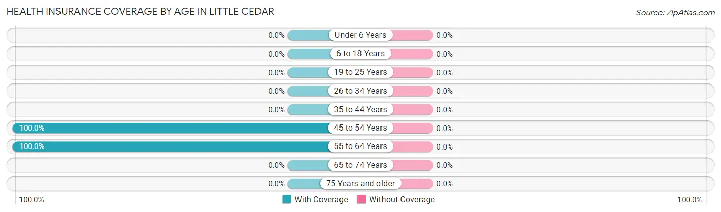 Health Insurance Coverage by Age in Little Cedar