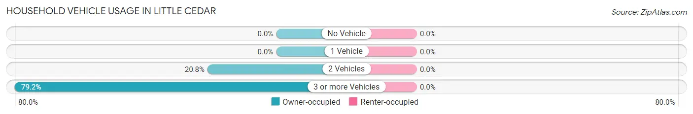 Household Vehicle Usage in Little Cedar