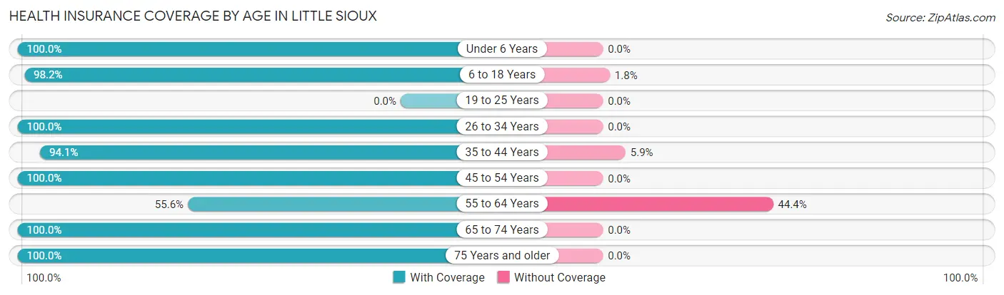 Health Insurance Coverage by Age in Little Sioux