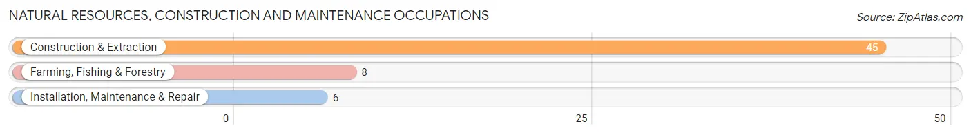 Natural Resources, Construction and Maintenance Occupations in Lockridge