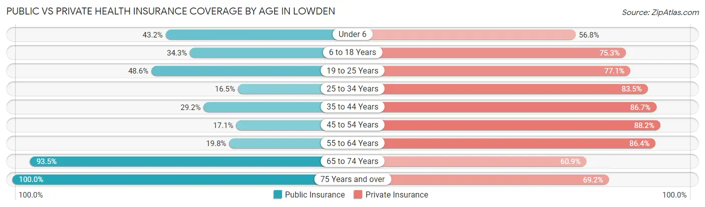 Public vs Private Health Insurance Coverage by Age in Lowden