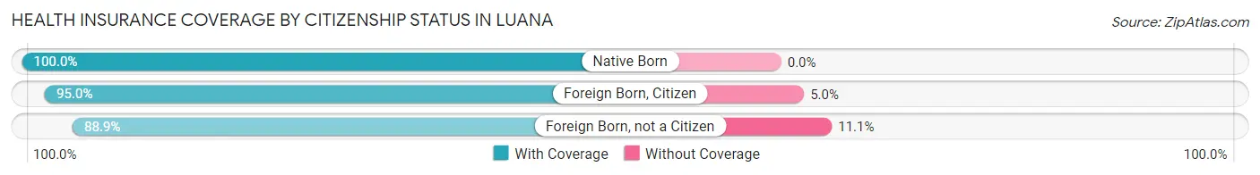 Health Insurance Coverage by Citizenship Status in Luana