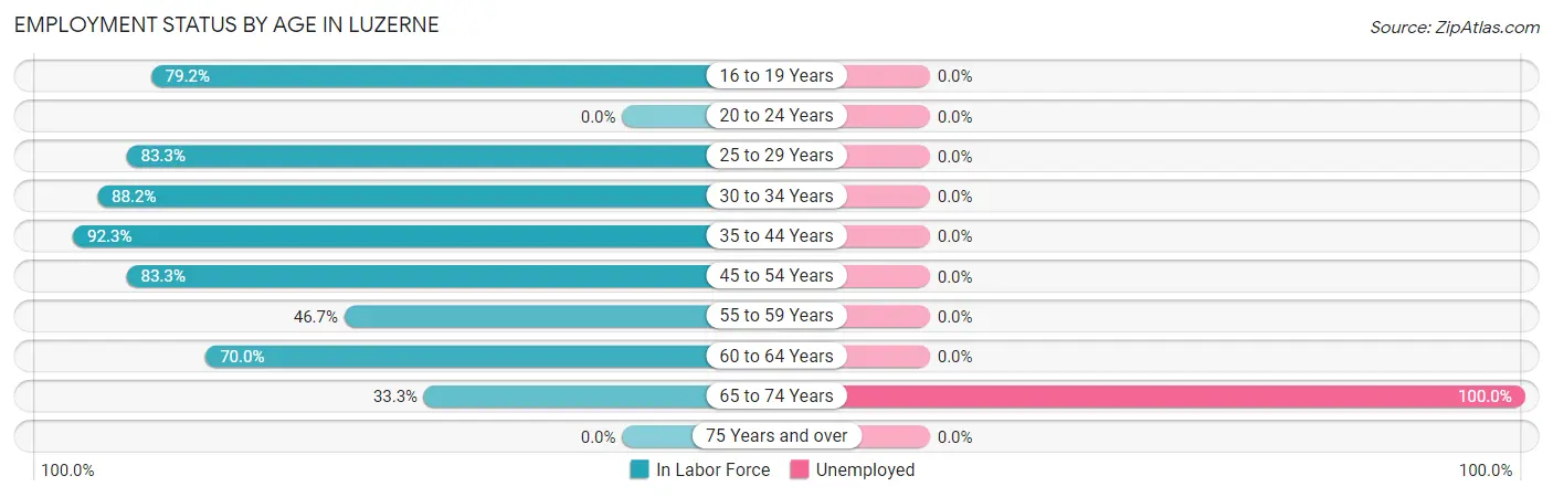 Employment Status by Age in Luzerne