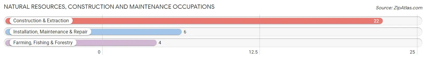 Natural Resources, Construction and Maintenance Occupations in Macedonia