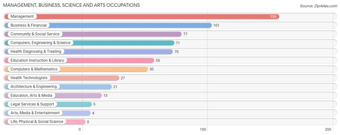 Management, Business, Science and Arts Occupations in Madrid