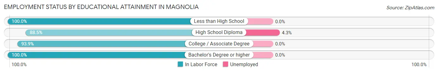Employment Status by Educational Attainment in Magnolia