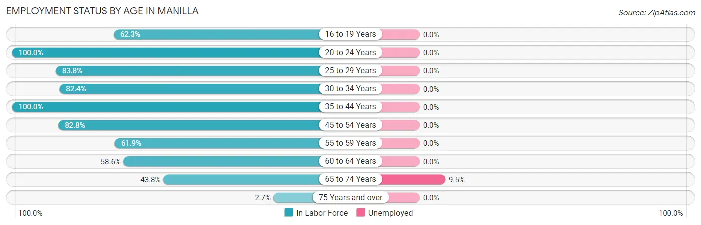 Employment Status by Age in Manilla
