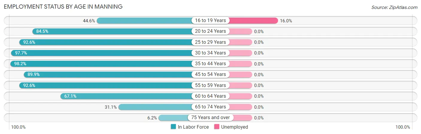 Employment Status by Age in Manning