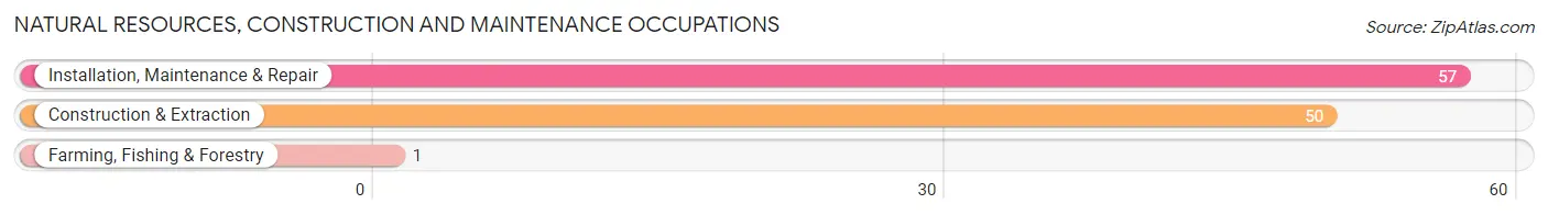 Natural Resources, Construction and Maintenance Occupations in Manson