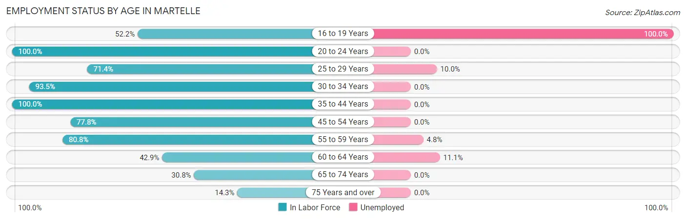Employment Status by Age in Martelle