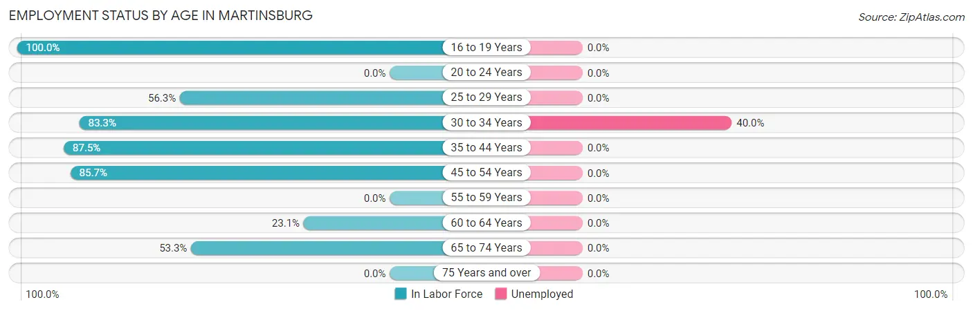 Employment Status by Age in Martinsburg
