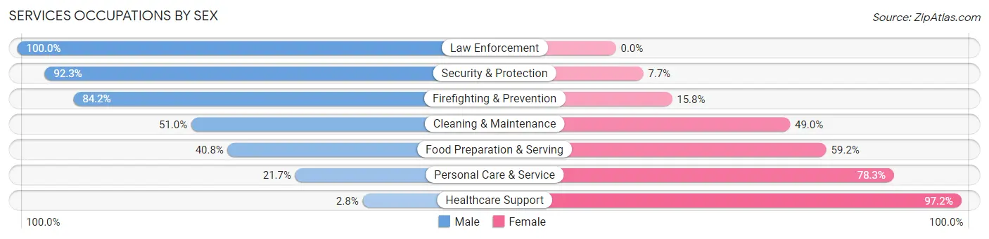 Services Occupations by Sex in Mason City